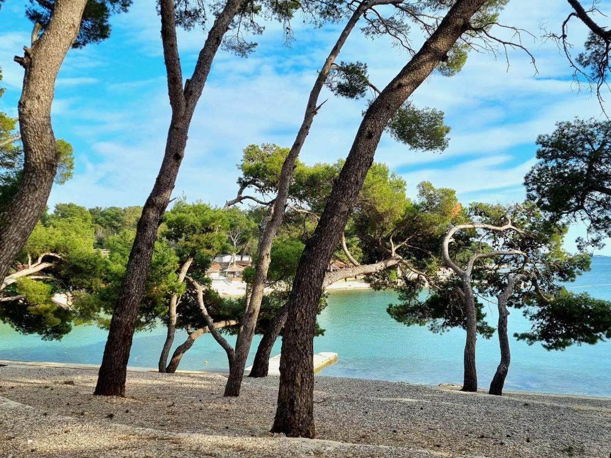 Seaview Daire Sveti Filip i Jakov Dış mekan fotoğraf